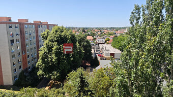 Predaj 3 izbového bytu (Sídlisko Váh- Šaľa) - 6