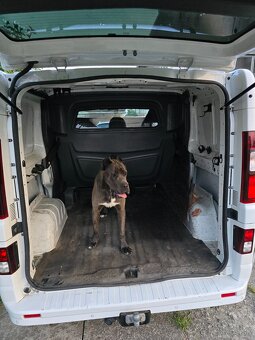 Predam Opel Vivaro - 6