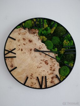 Machové hodiny topoľové - 6