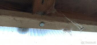 Predám voliéru - 6