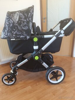 Kocik bugaboo - 6