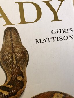 Chris Mattison: Hady - 6