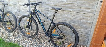 Bergamon Revox 5 - 6