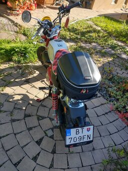 Honda 125 Monkey - 6