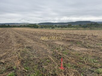 Predaj pozemku 8292m2, Sabinov, ul. Levočská - 6