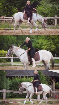 Všestranný Appaloosa na predaj - 6