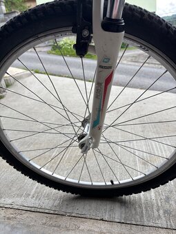 Cestný bicykel Dema - 6