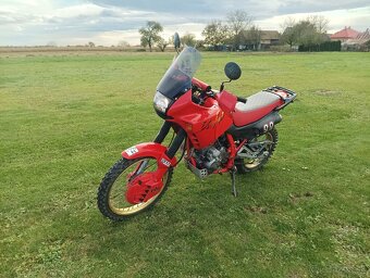 Honda dominator 650 - 6