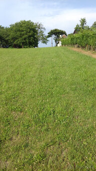Pozemok 5 á na stavbu, veľ. dvoj-pivnica, ďalší 18 á pozemok - 6