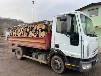 PALIVOVE DREVO METROVICA - 6