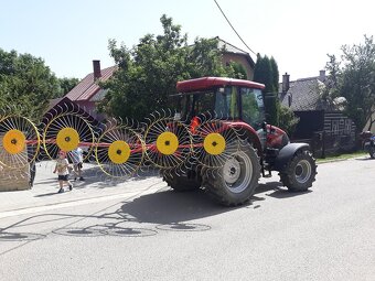 Slniečková hrabačka - 6