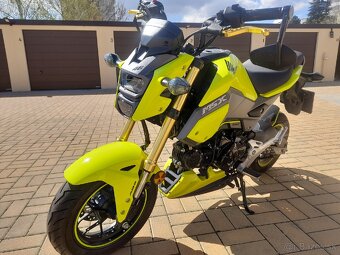 Honda MSX 125 - 6