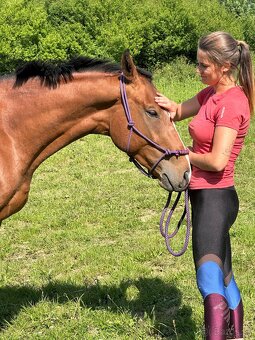 Ayrton: Parťák do života 🏇 - 6