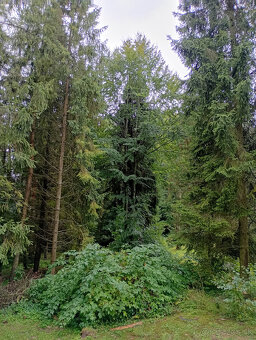 Chata rybársky raj - 6