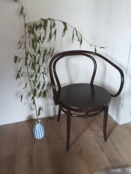 kreslo TON velké 2 kusy - 6