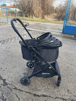 Kočik pre psika - 6