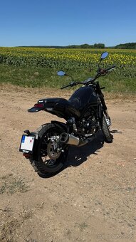 Benelli Leoncino 500 Trail - 6
