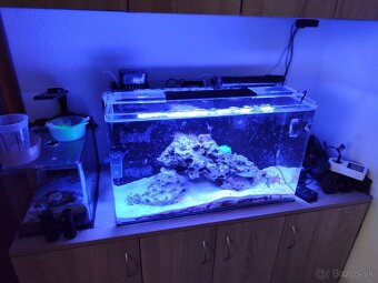 Morské akvárium Blau All in One Marine – 80 l (Black) - 6