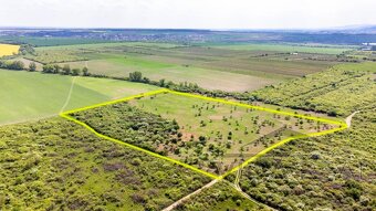 Pozemok v Modre s výmerou až 58.977 m2 - 6