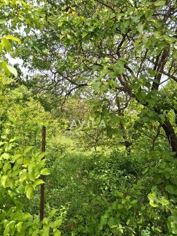 Na predaj: záhrada v atraktívnej lokalite Nové Mesto nad Váh - 6