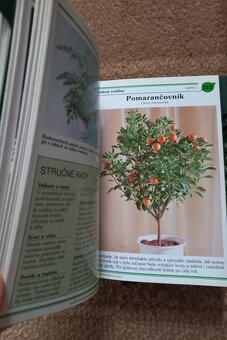 Kniha o kvetinách - 6