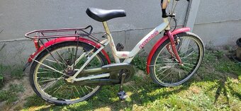 Detský bycikel 22 batavus - 6