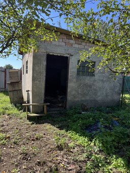 Sedliacky dom s jabloňovým sadom - okr. Levice - 6