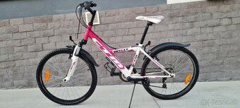 Bicykel Ctm 24" pink - 6