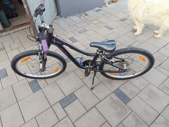 Bicykel Specialyzed 24" - 6