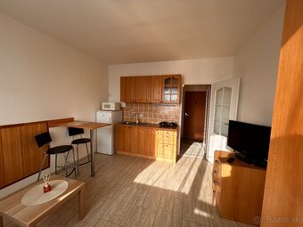 PET friendly útulná garsónka - 6