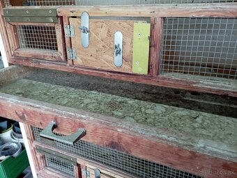 Chovne boxy pre andulky, drobne vtactvo- znizena cena - 6