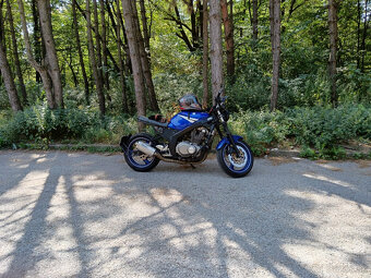 Suzuki GS500 25kw A2 Caféracer - 6