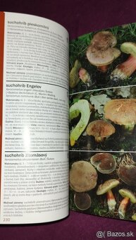 1000 slovenských a českých húb - 6