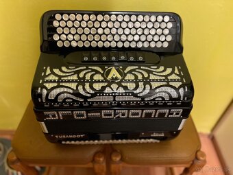 Accordiola - 6