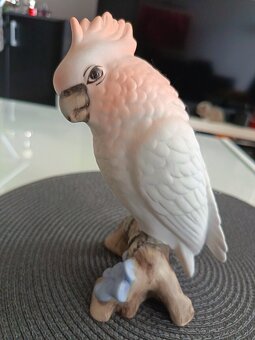 Papagáj Kakadu Royal dux - 6