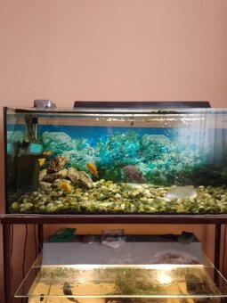 Akvarium - 6