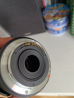 Canon EOS 250D + Sigma 18-50mm f2.8-4.5 OS HSM - 6