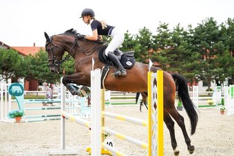 6 ročná kobyla - Madlen RUF - 6