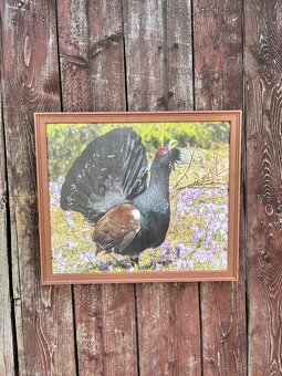 Živé Obrazy - Fotografia na platne - 6