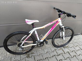 Kellys Vanity 50 - 6