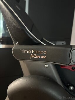 Prima Pappa follow me - 6