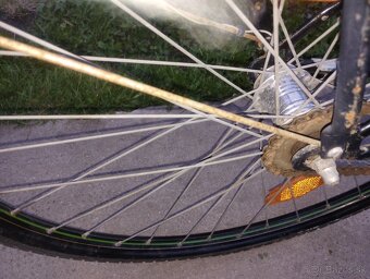 RETRO BICYKEL STAIER - 6