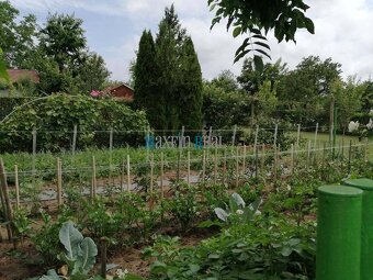 MAXFIN REAL - NA PREDAJ chata s bazénom v Nových Zámkch - 6