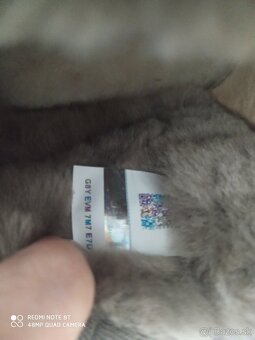 Ugg Classic ultra mini dámske kožené čižmy - 6