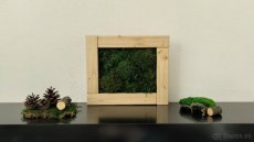 Predám obraz z machu: Drevo a kopčeky (30 x 25 cm) - 6