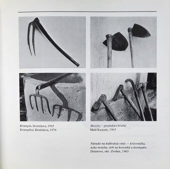 Ema Drábiková - Človek vo vinici - 6