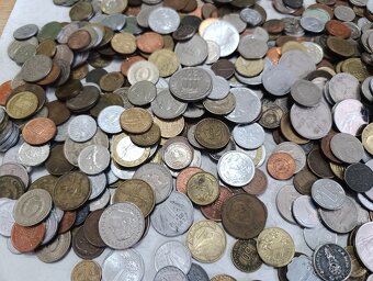 Mince 3.5kg lot5 - 6