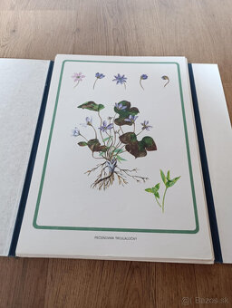 Staré školské pomôcky - 6