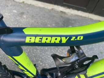 CTM BERRY 2.0 2020. 24” - 6