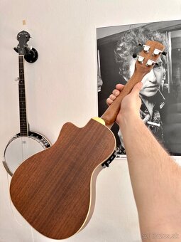 Predám elektro akustické ukulele Alvarez AU70WCCE - 6